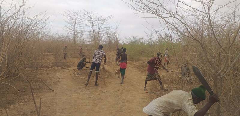 Sustainable forestry